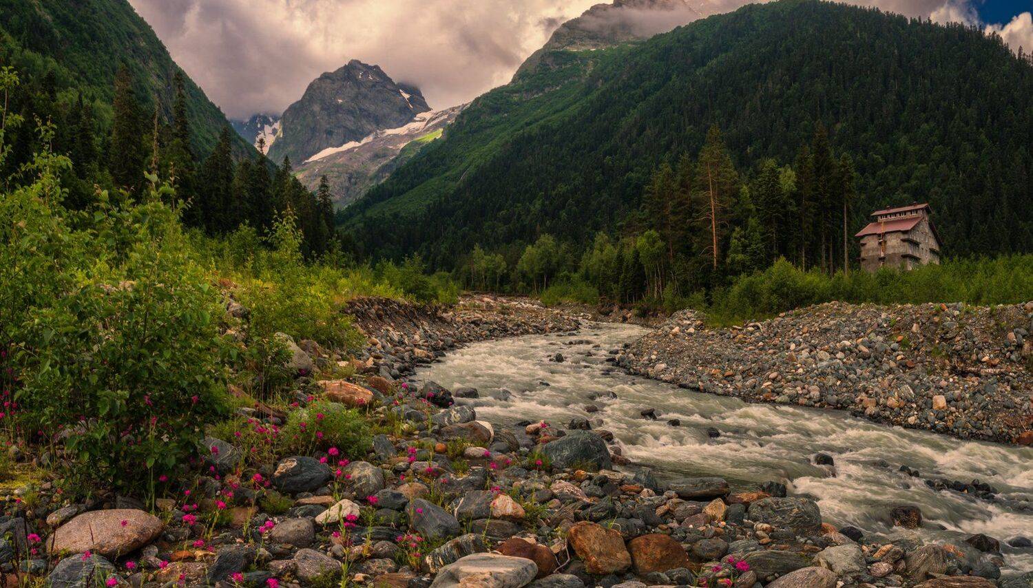 , Игорь Мелекесцев