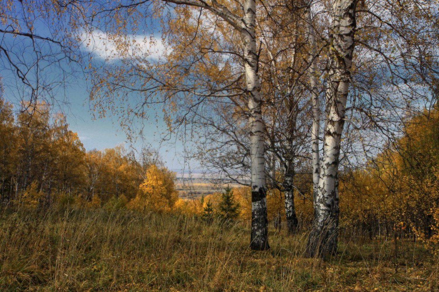 , Галина Хвостенко