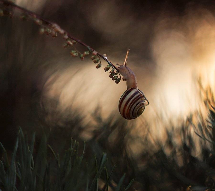 , Pawel Plucinski