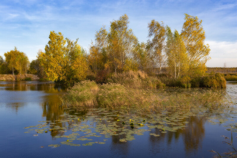 осень Сентябрь фото превью