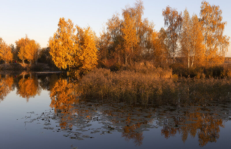 осень Октябрь фото превью