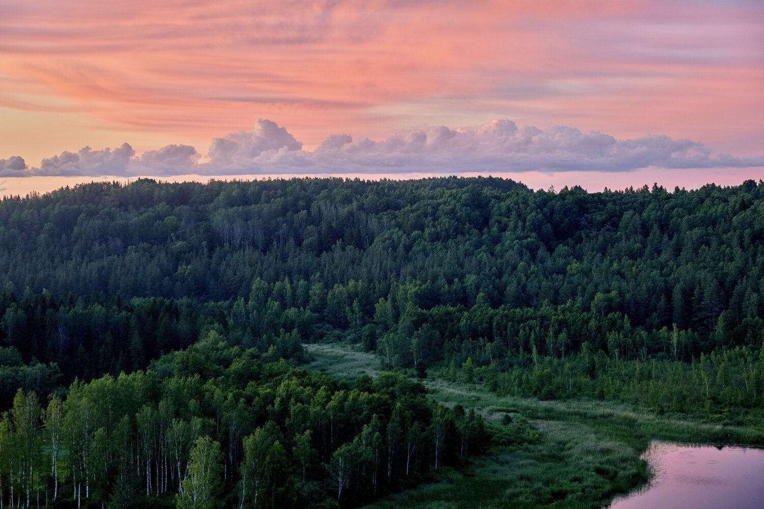 , Liudmila Vorob&rsquo;yova