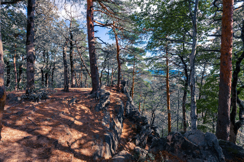 В осеннем лесу фото превью