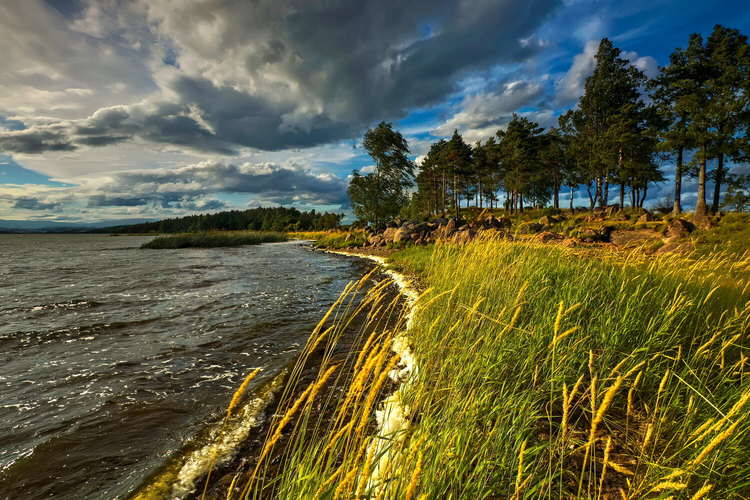 , Александр Беляев