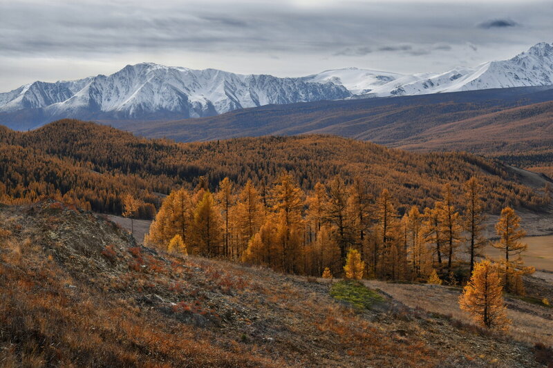 Осенний Алтай фото превью