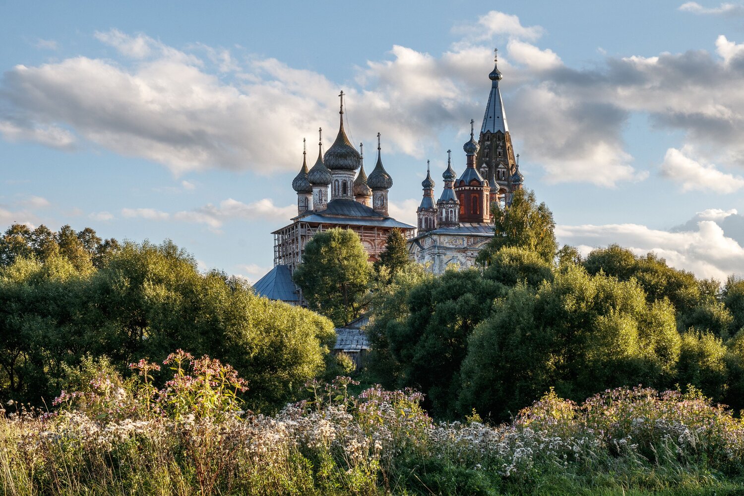 , Добролюбова Тамара