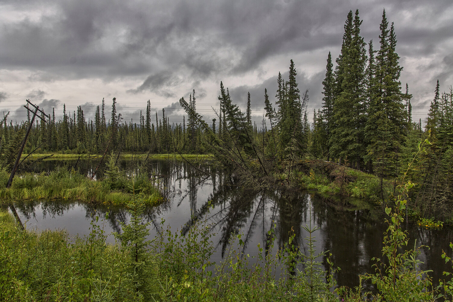 alaska, Vorobeychik Vladimir