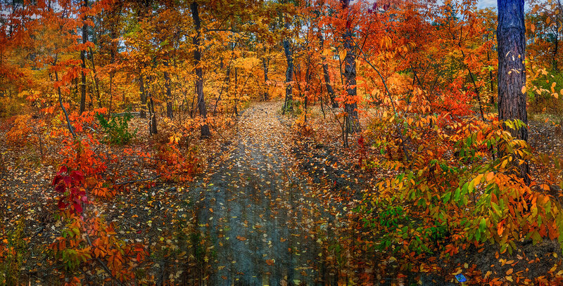 autumnal-rustling фото превью