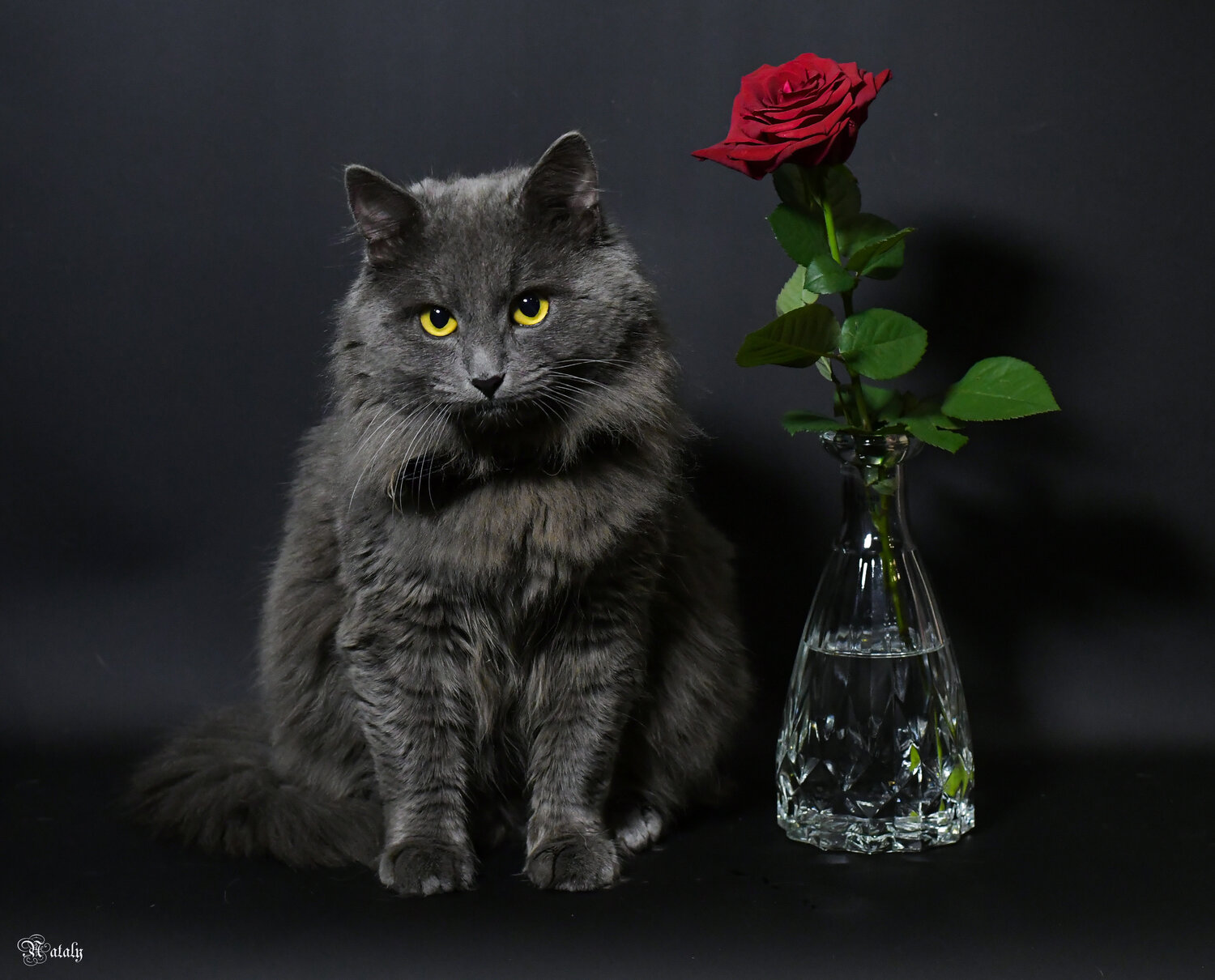, Екимова Наталья