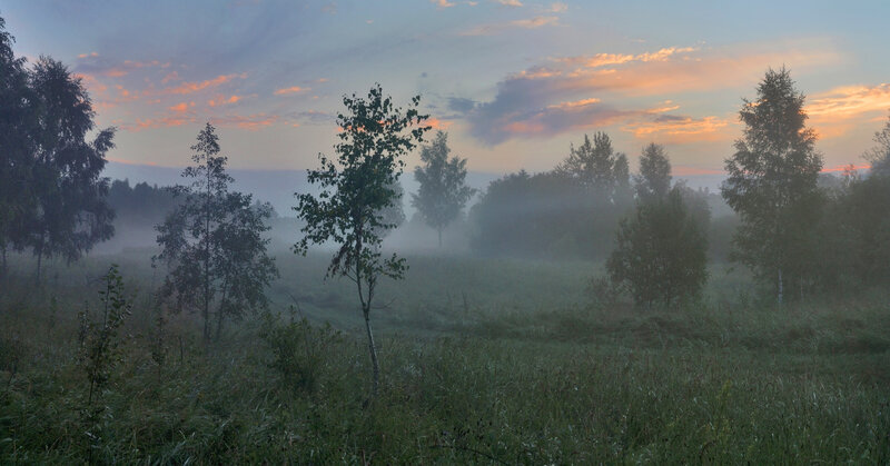 рассвет, поле, лес  фото превью