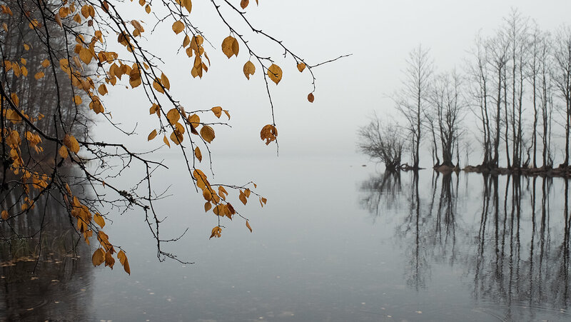 .... фото превью
