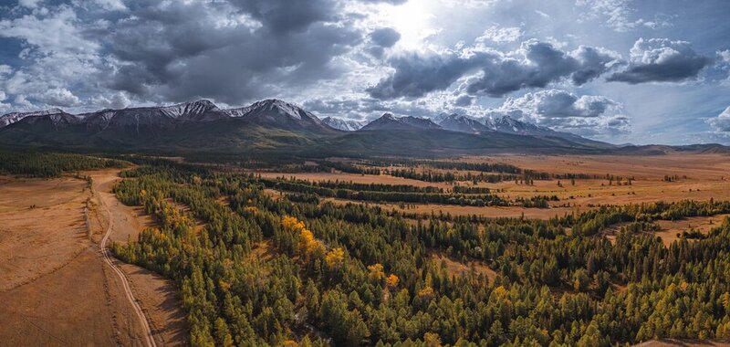 Горы, Лес, Поля, Алтай Горный Алтай фото превью