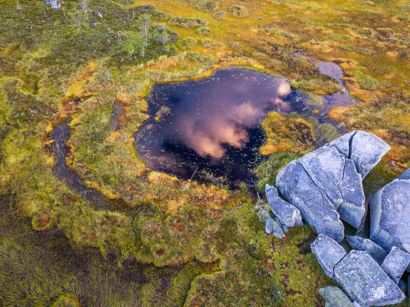 фото превью
