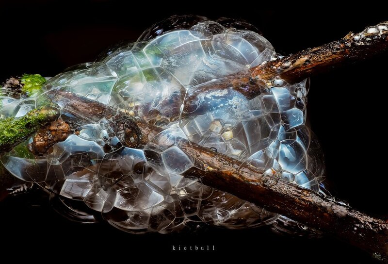 Eggs? фото превью
