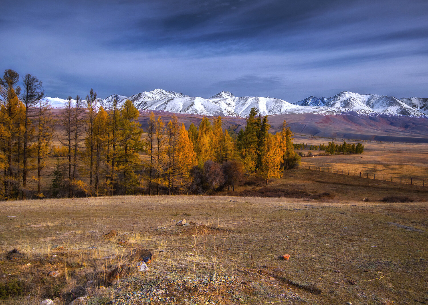 алтай, осень, горы, курайская степь, курайский хребет, чуйский тракт, Чичкин Валерий