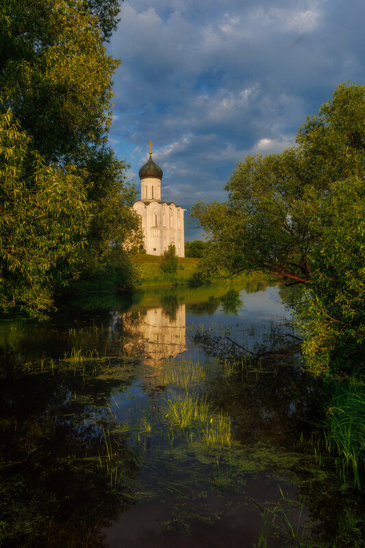 Лето. Храм Покрова на Нерли. фото превью