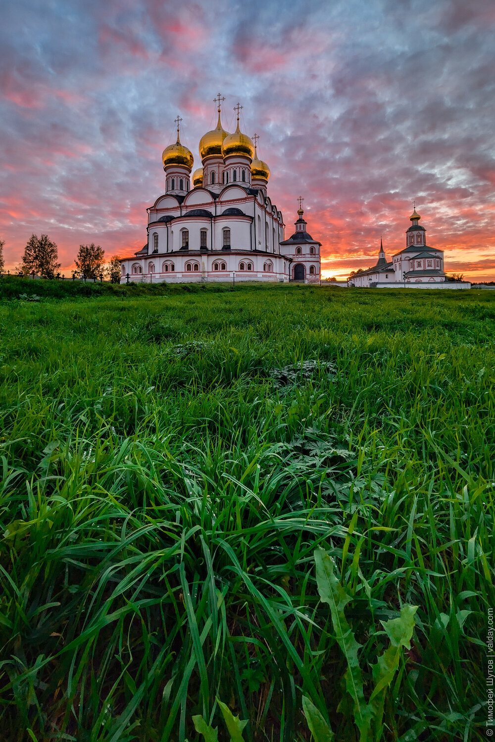 , Тимофей Шутов