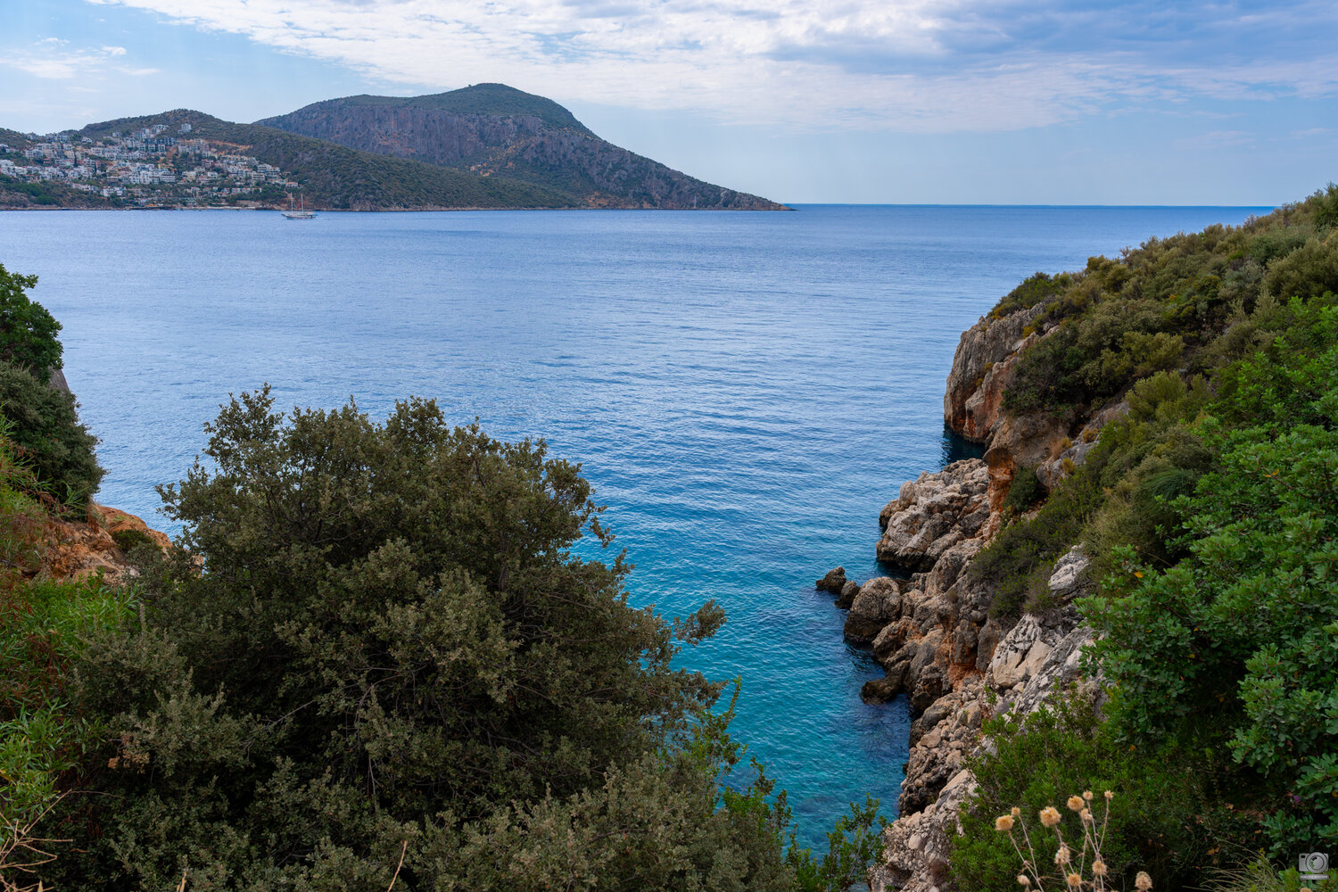 kalkan, Dmitry Kovalev