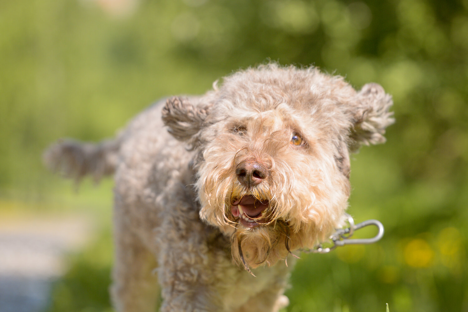 , Dmitry Ishniyazov