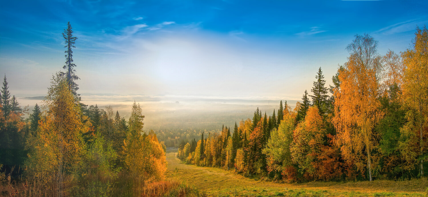 , Vladim Bormotov
