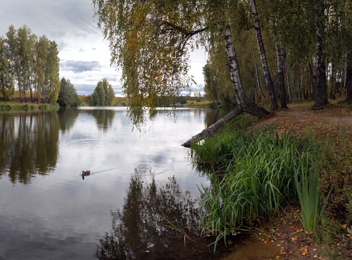, Баранов Олег