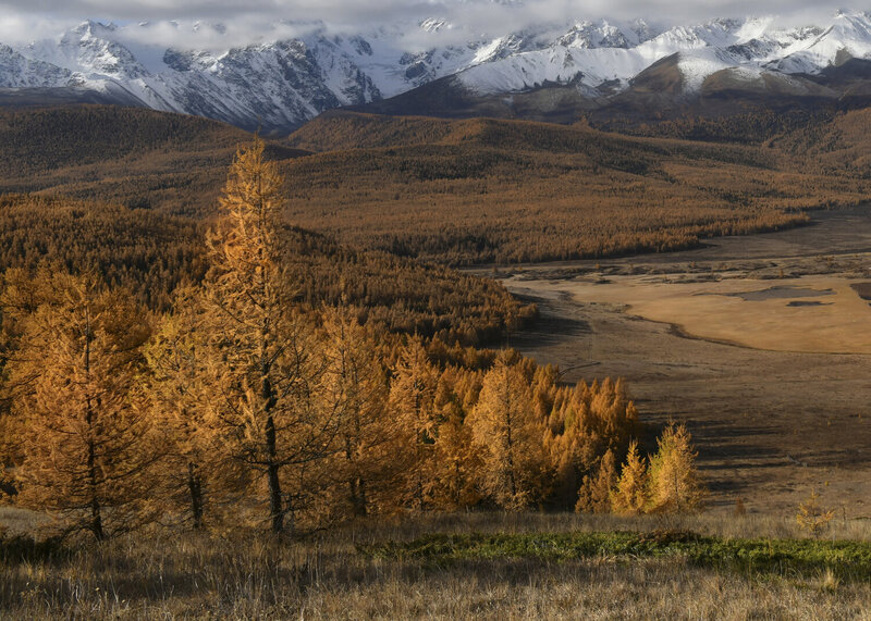 Осенний Алтай фото превью
