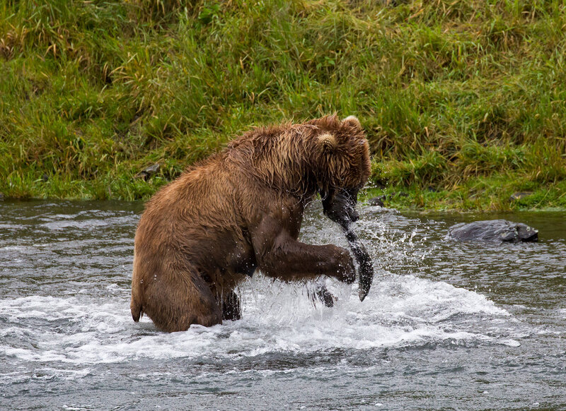 alaska Мама, я поймал! фото превью