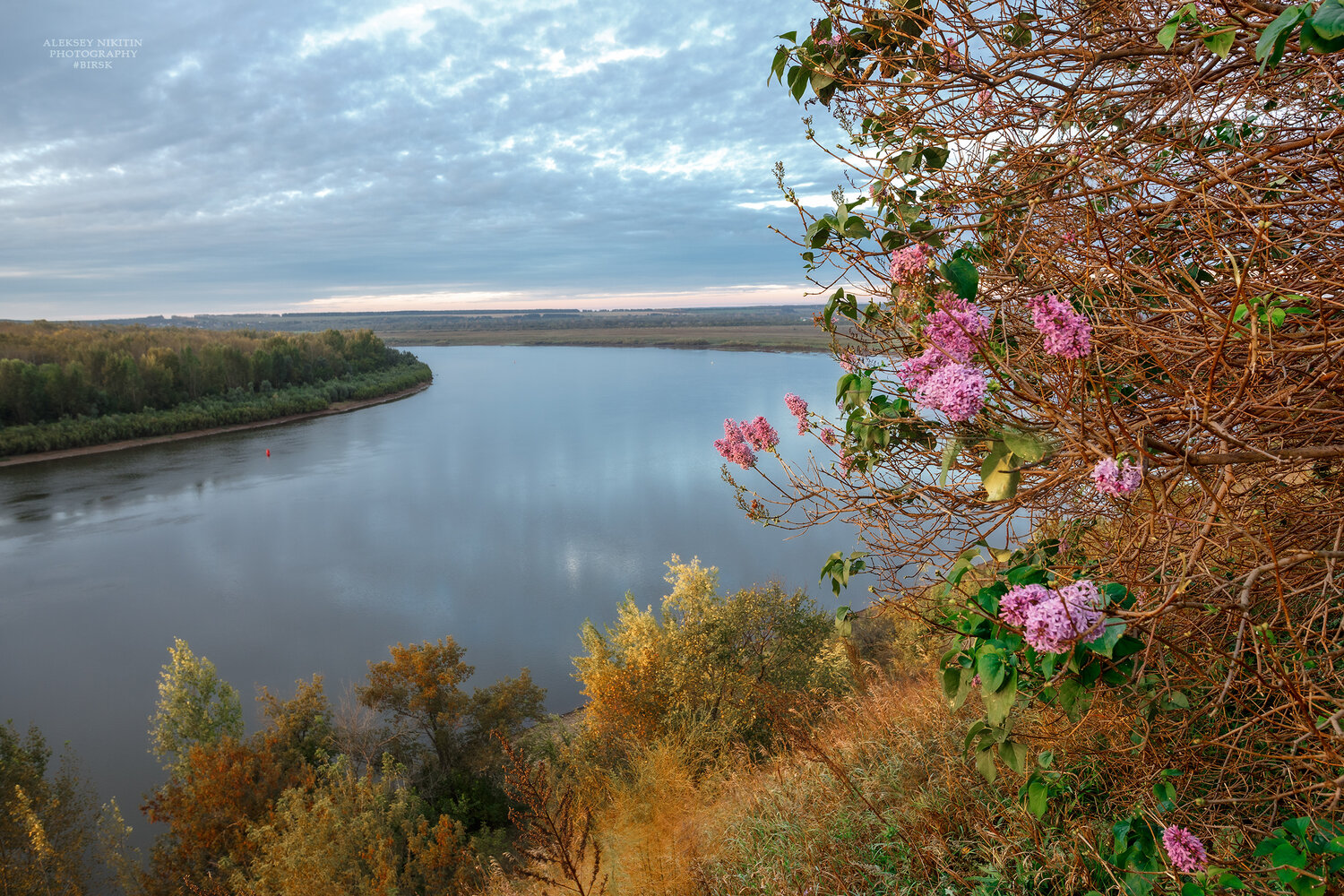 , Никитин Алексей