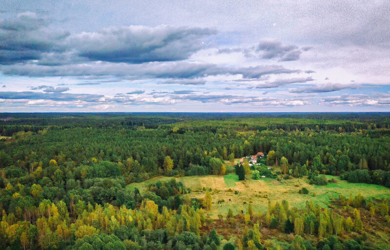 Осень только взялась за работу... фото превью