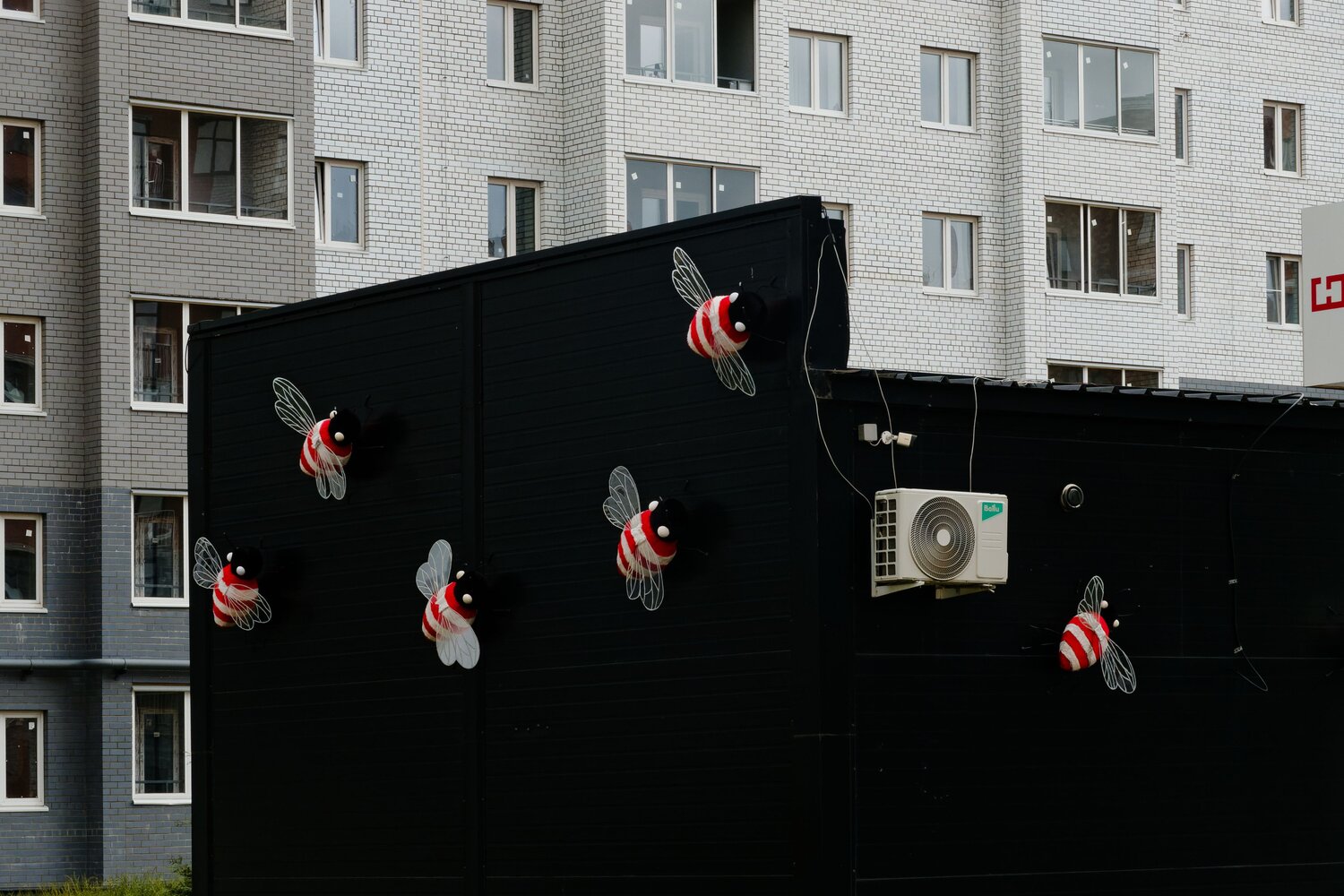 , Какоткин Роман