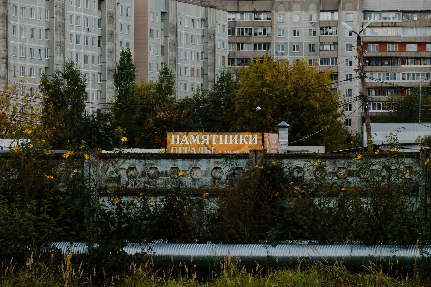 , Какоткин Роман