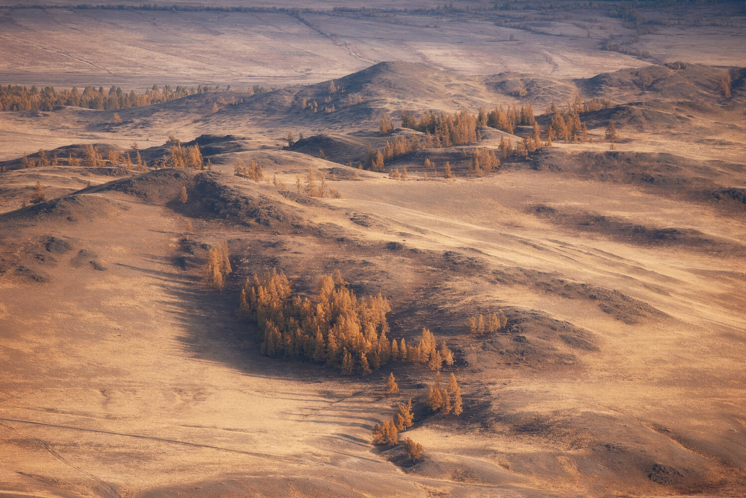 , Анастасия Петрова