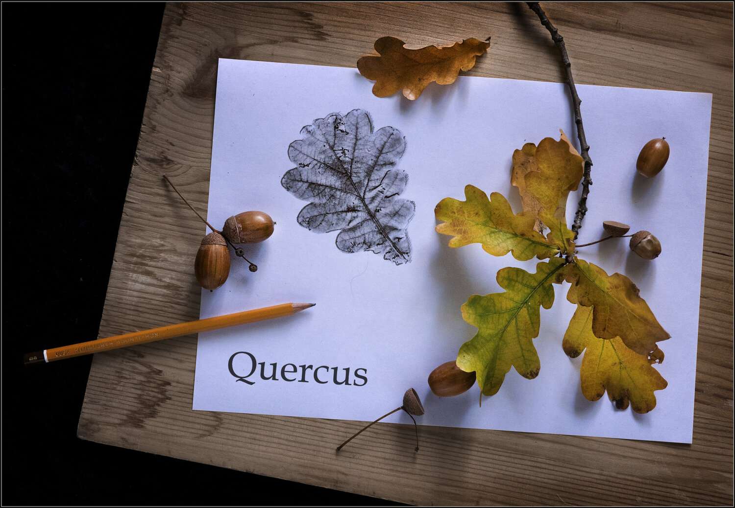, Игорь