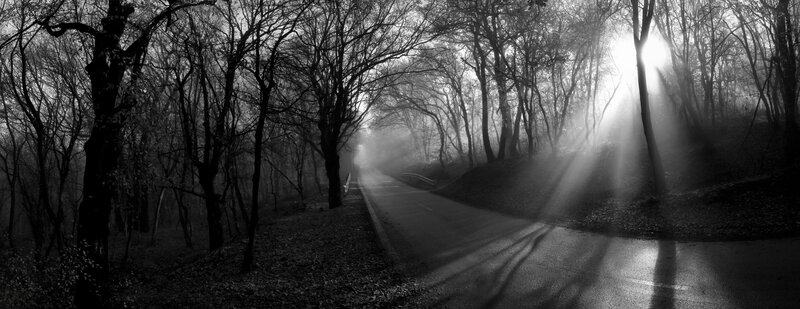 Panorama, Blackandwhite Утренние лучи фото превью