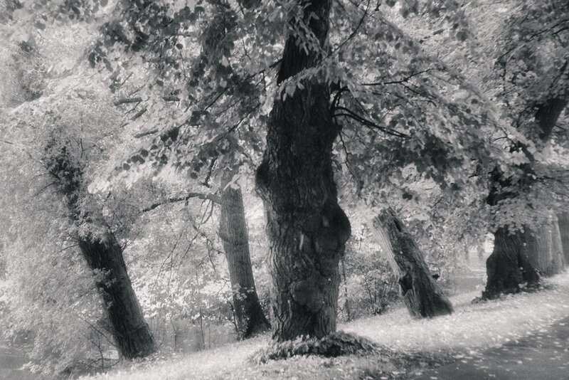 Portfolio olegmusin 2026-09-17 фото превью