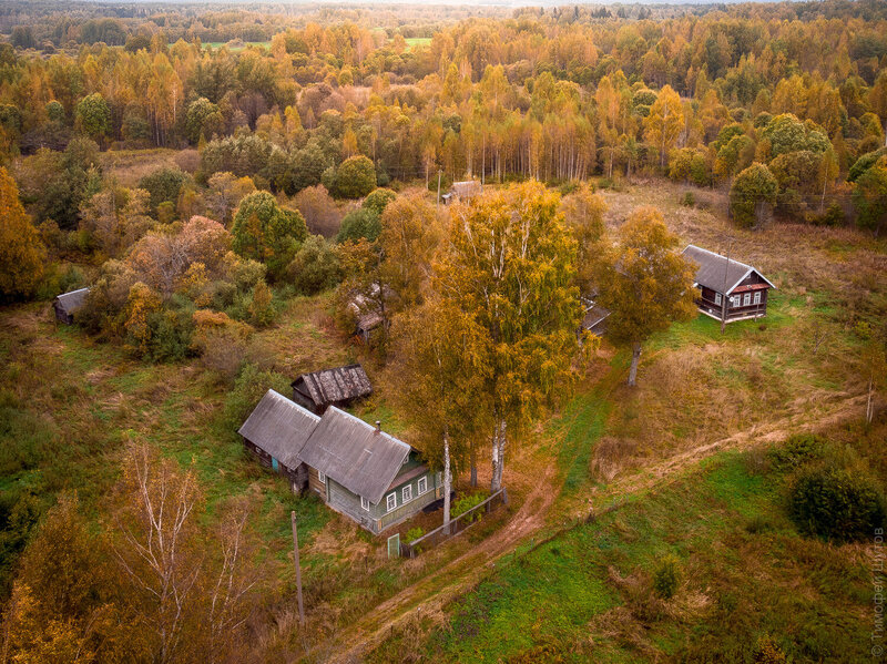 Пролетая с осенью... фото превью