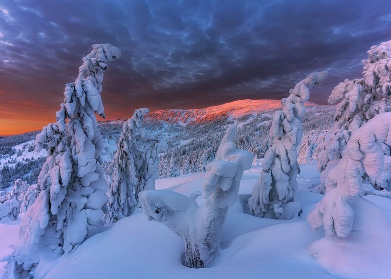 Близится зима фото превью