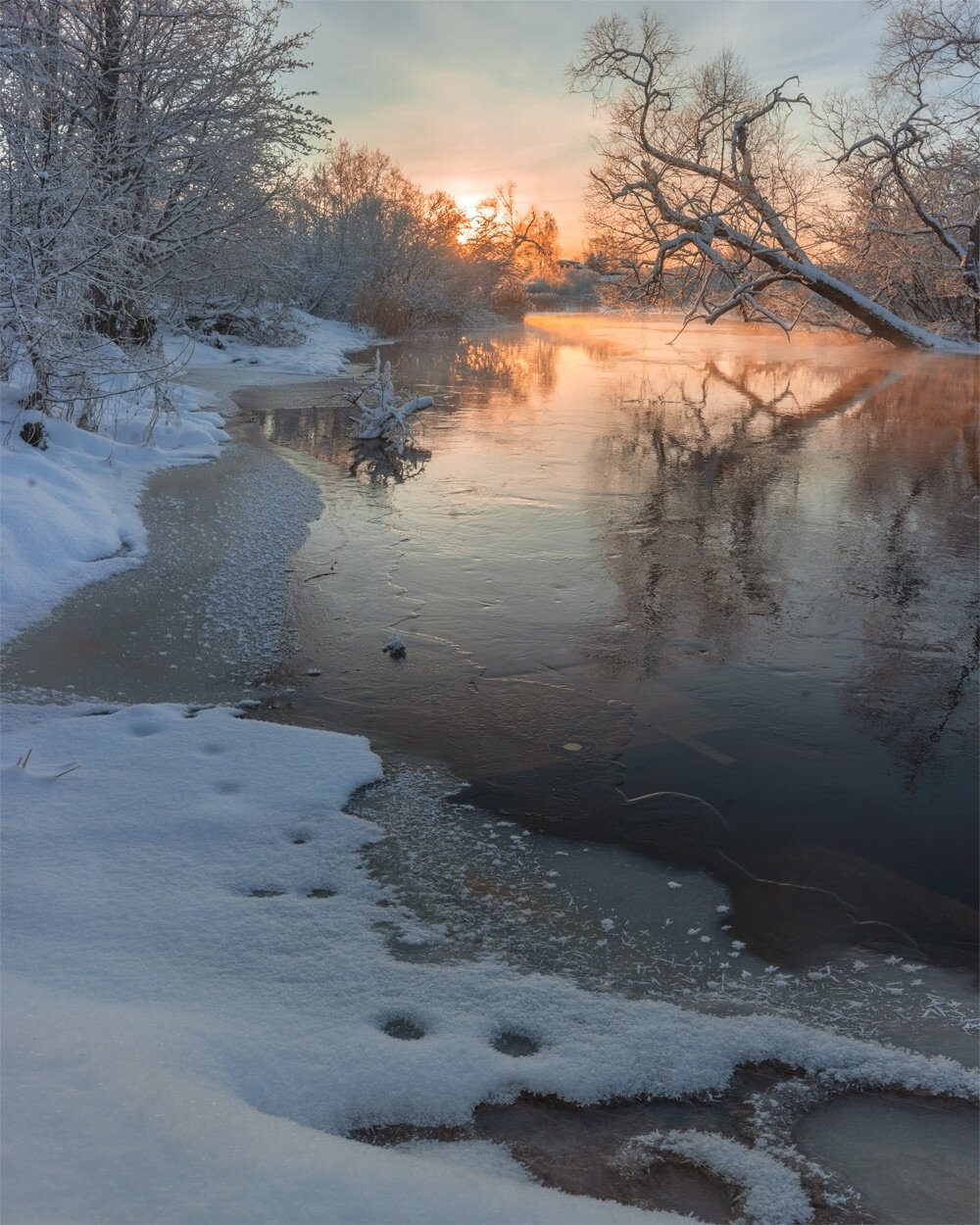 , Петр Косых