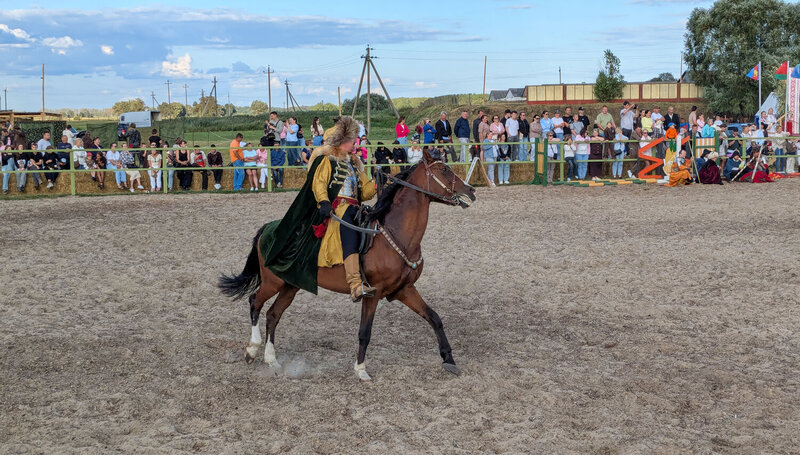 всадник, сабля, конное шоу, лошадь, галоп, историческая реконструкция, золотая шпора, фестиваль лошади, полесская нива, ремель, репортаж, xvii век, кавалерия, манеж, верховая езда, движение Всадник с саблей фото превью