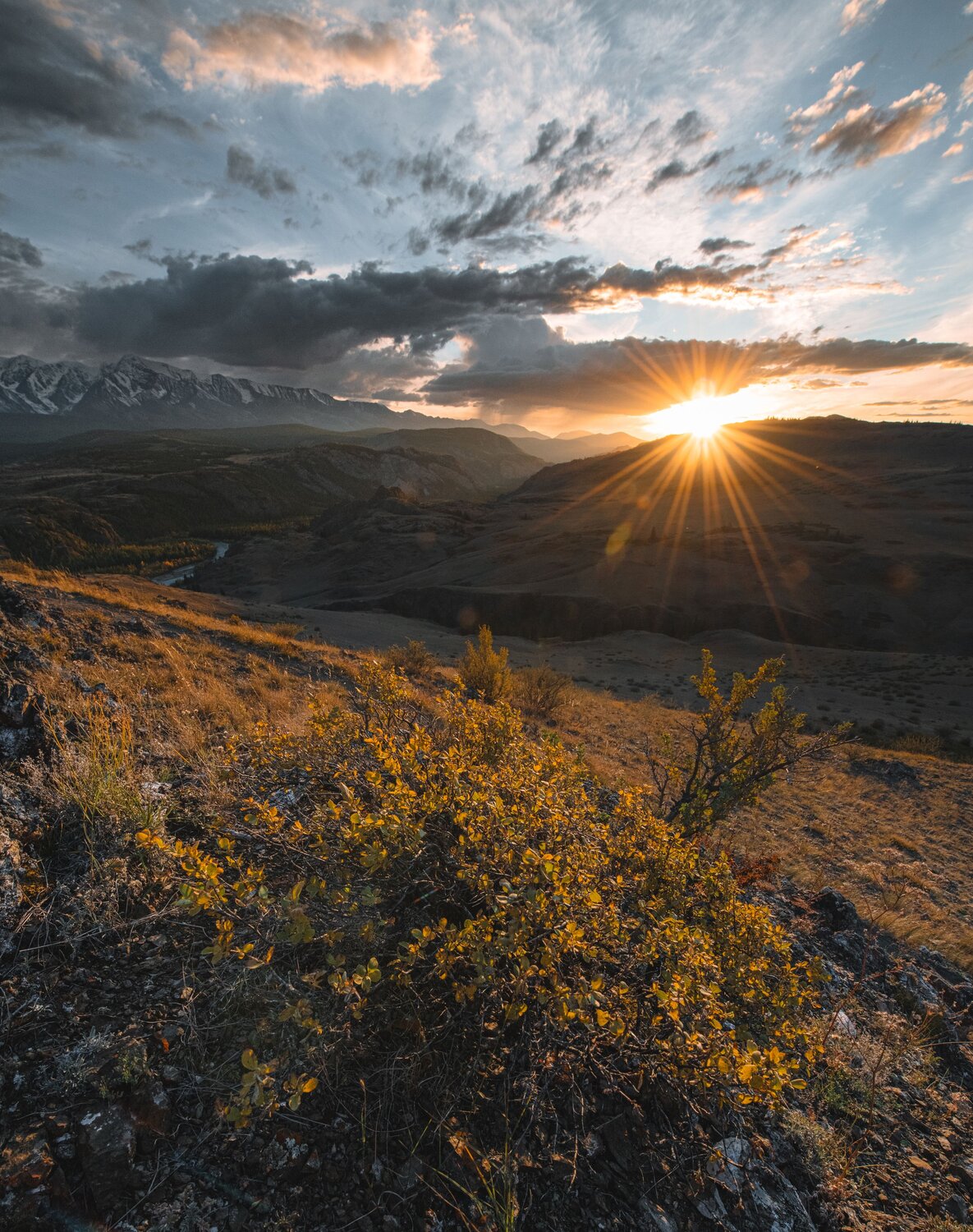 Горный Алтай. Автор: Denis Koshkin Алтай, Закат, Горы, Река, Осень, Лес, Курай, Denis Koshkin