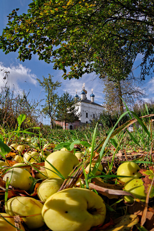 * фото превью