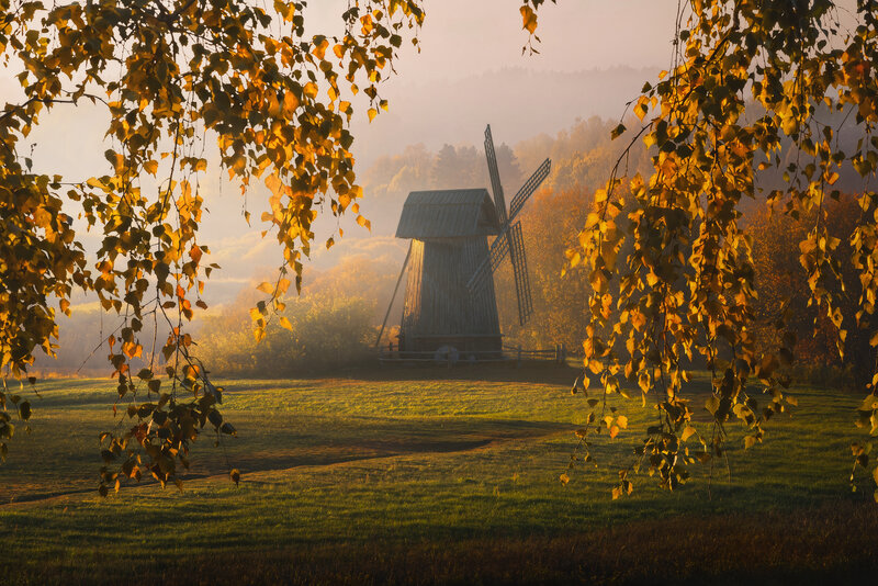 Осень в Михайловском  фото превью