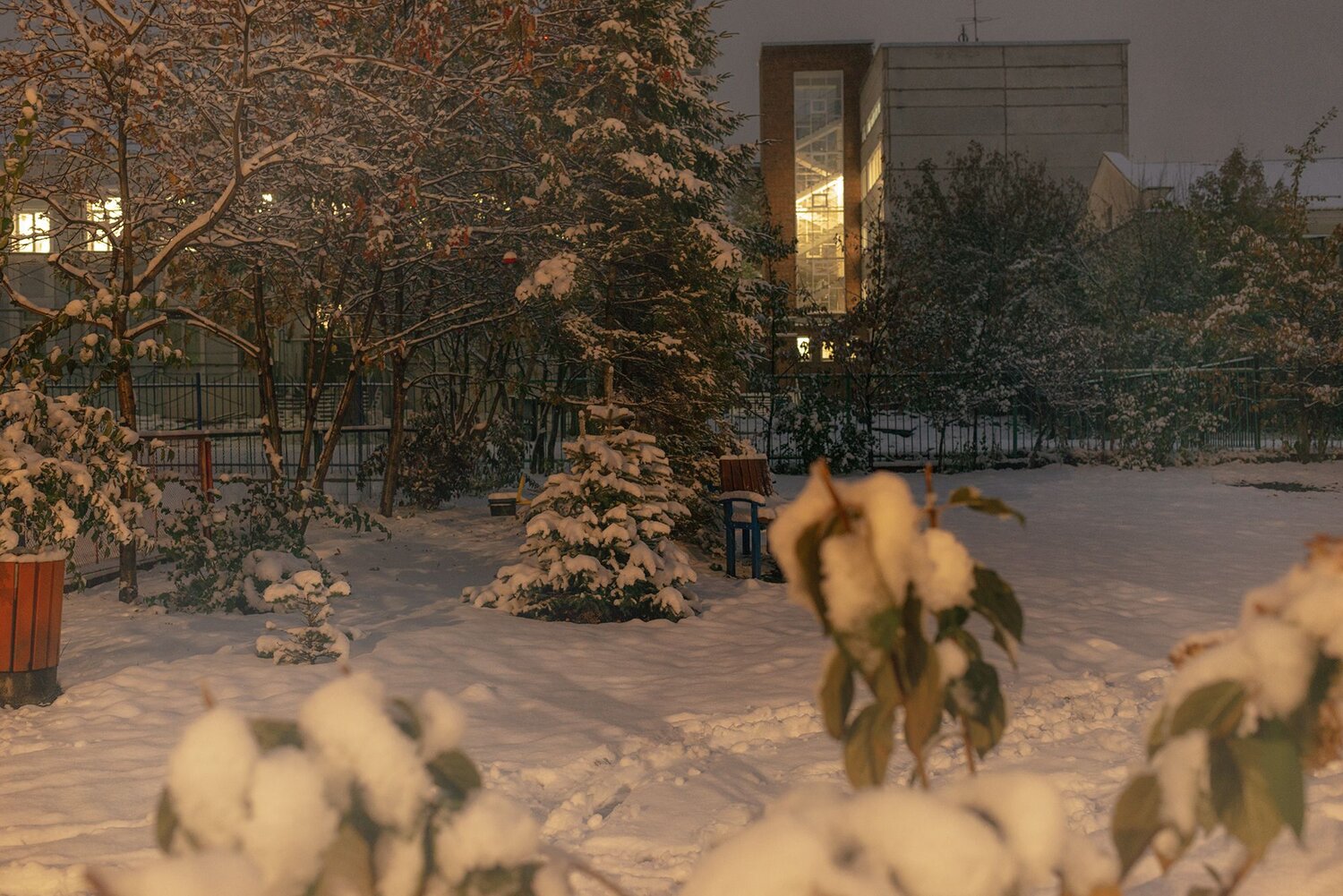 ,  Мария