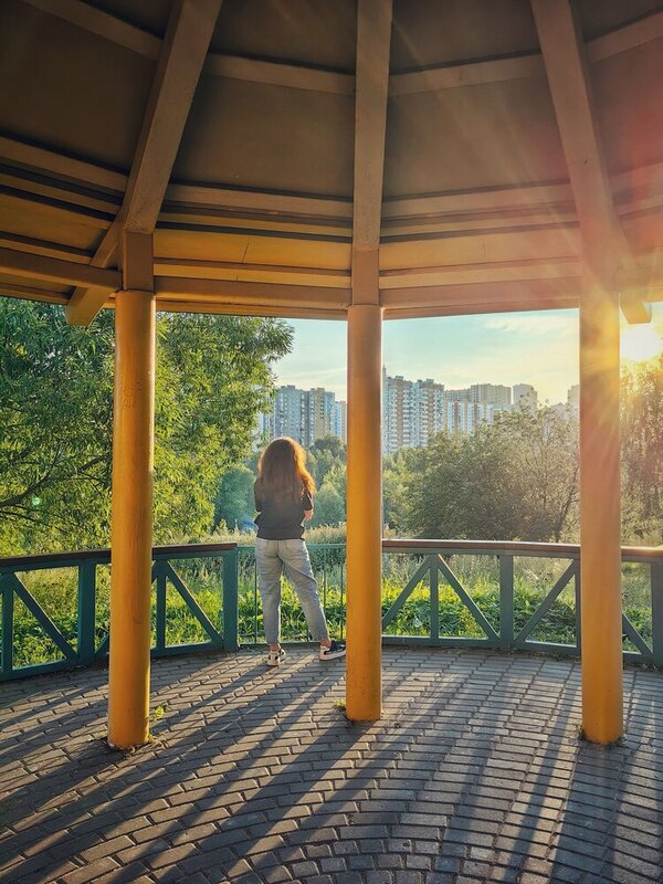 Навстречу солнцу фото превью