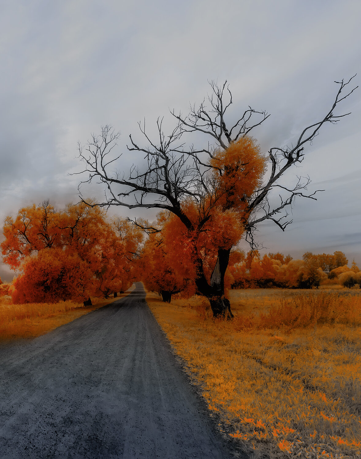 infrared, ик-фото, инфракрасное фото, инфракрасная фотография, лето, пейзаж,  Sixten (Сергей)