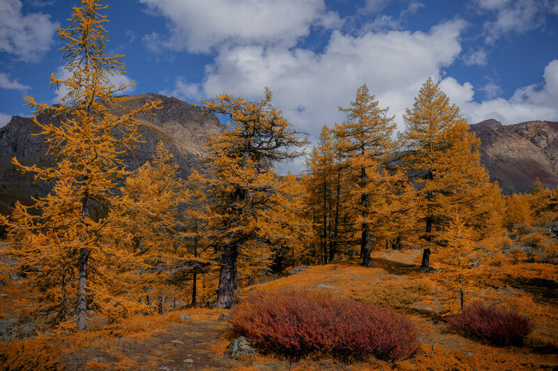 Осень на Алтае фото превью
