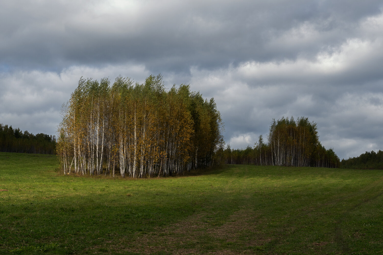 пейзаж, колок, осень, поле, россия, Евгений Гецев