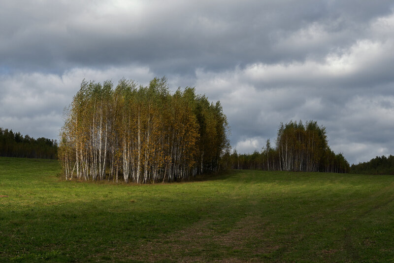 Осенний колок фото превью