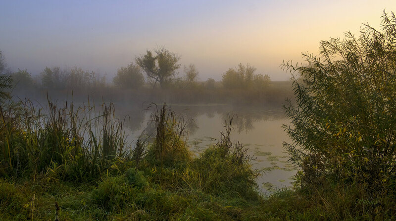 осень, озеро, утро, туман, природа, пейзаж Утро в октябре. фото превью