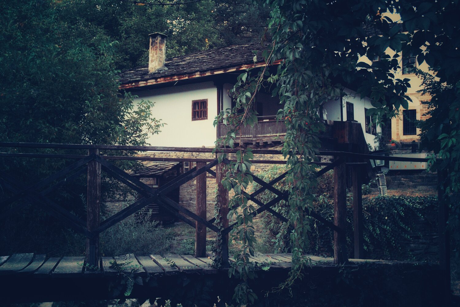, Юлияна Стоянова